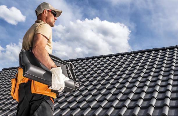 Best Roof Maintenance and Cleaning  in Shelburn, IN